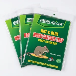 Rat Glue Trap ( এক  বান্ডেল )